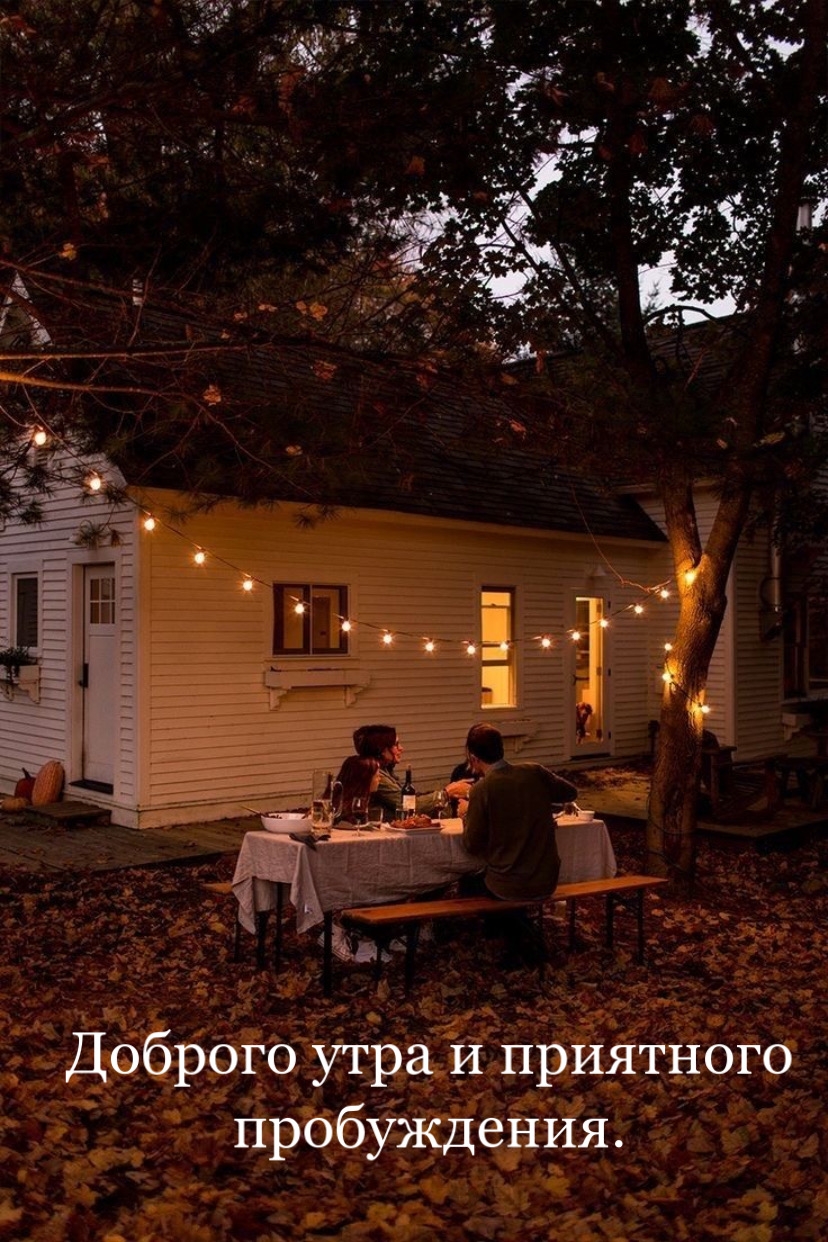 Хостинг картинок yapx.ru