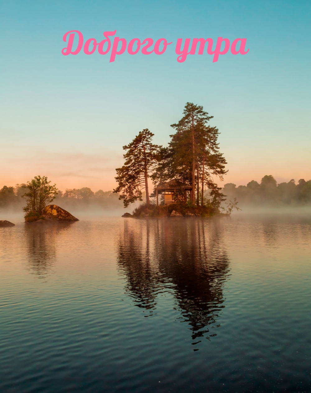 Хостинг картинок yapx.ru