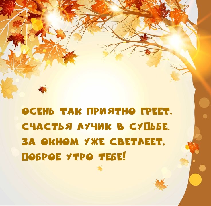 Хостинг картинок yapx.ru