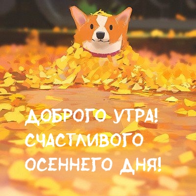 Хостинг картинок yapx.ru