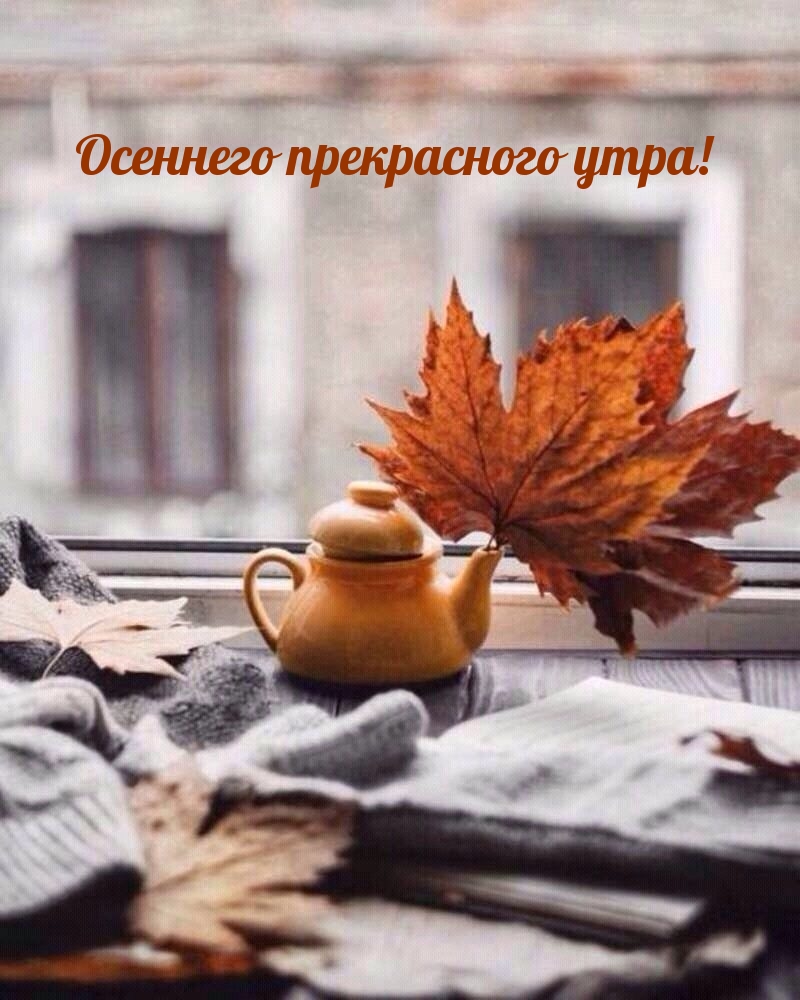 Хостинг картинок yapx.ru