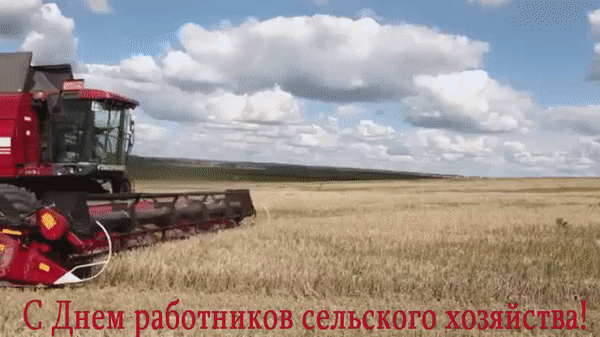 8 октября - День работников сельского хозяйства и перерабатывающей промышленности.
