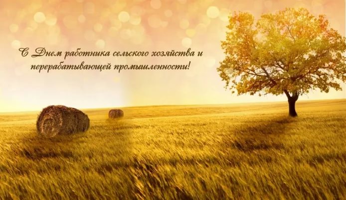 Профессиональный праздник работников в сфере сельского хозяйства отмечается во второе воскресенье октября.