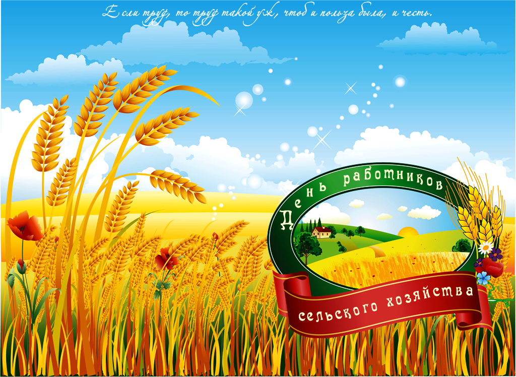 Сельское хозяйство играет важную роль для непрерывного производства продуктов и поступления на прилавки магазинов.