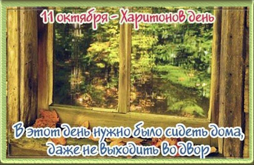 Хостинг картинок yapx.ru