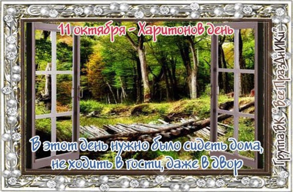 Хостинг картинок yapx.ru