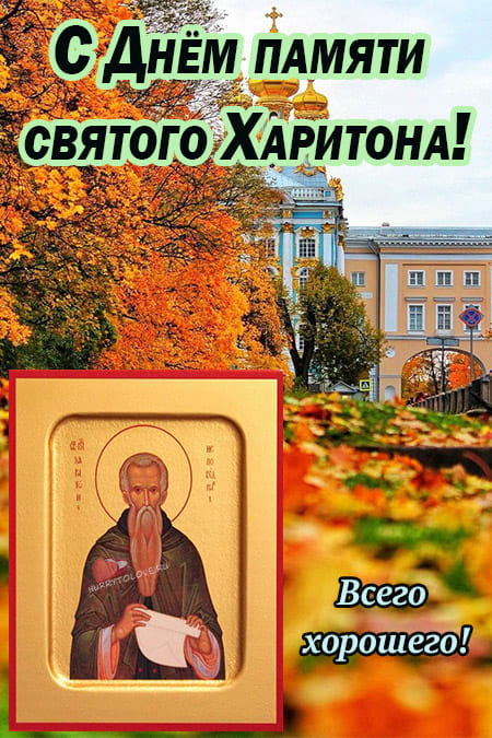 Хостинг картинок yapx.ru