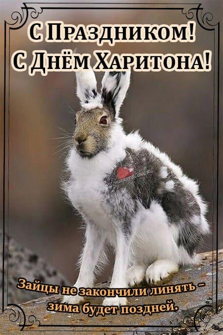 Хостинг картинок yapx.ru