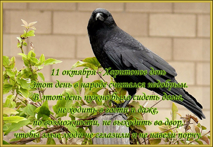 Хостинг картинок yapx.ru