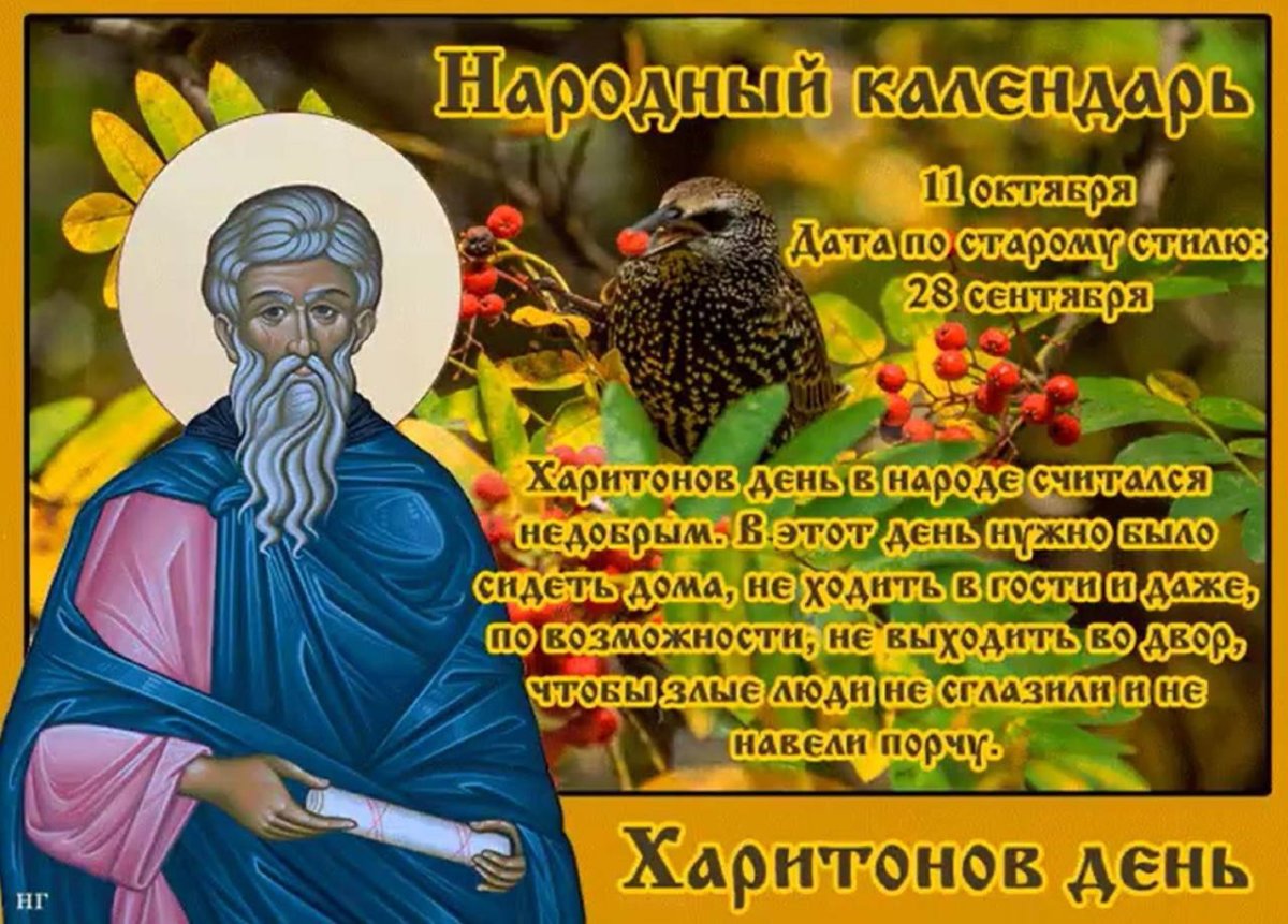 Хостинг картинок yapx.ru