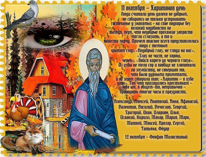 Хостинг картинок yapx.ru