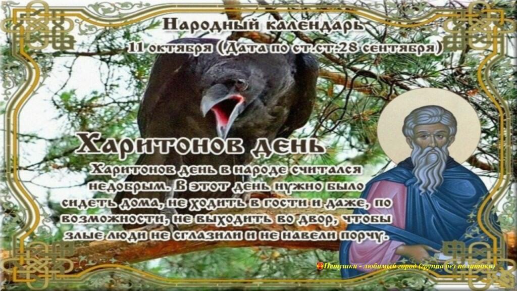 Хостинг картинок yapx.ru