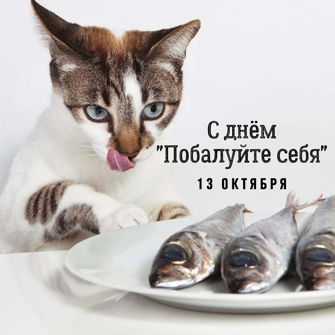 Хостинг картинок yapx.ru