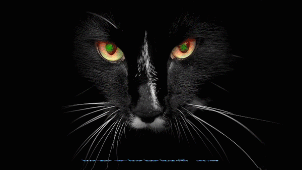 Пятница 13 анимация