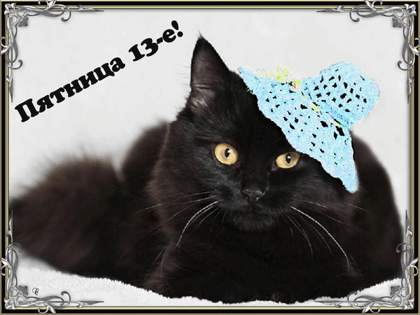 Пятница 13 поздравления прикольные