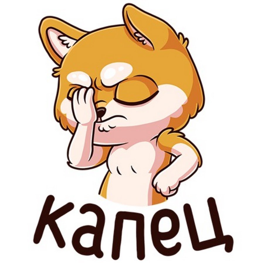 Хостинг картинок yapx.ru