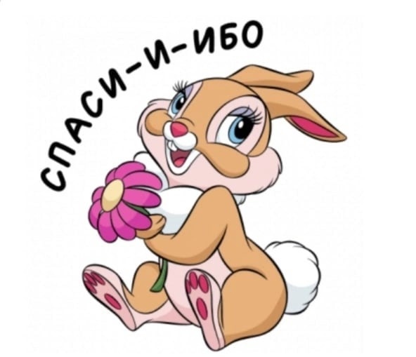 Хостинг картинок yapx.ru