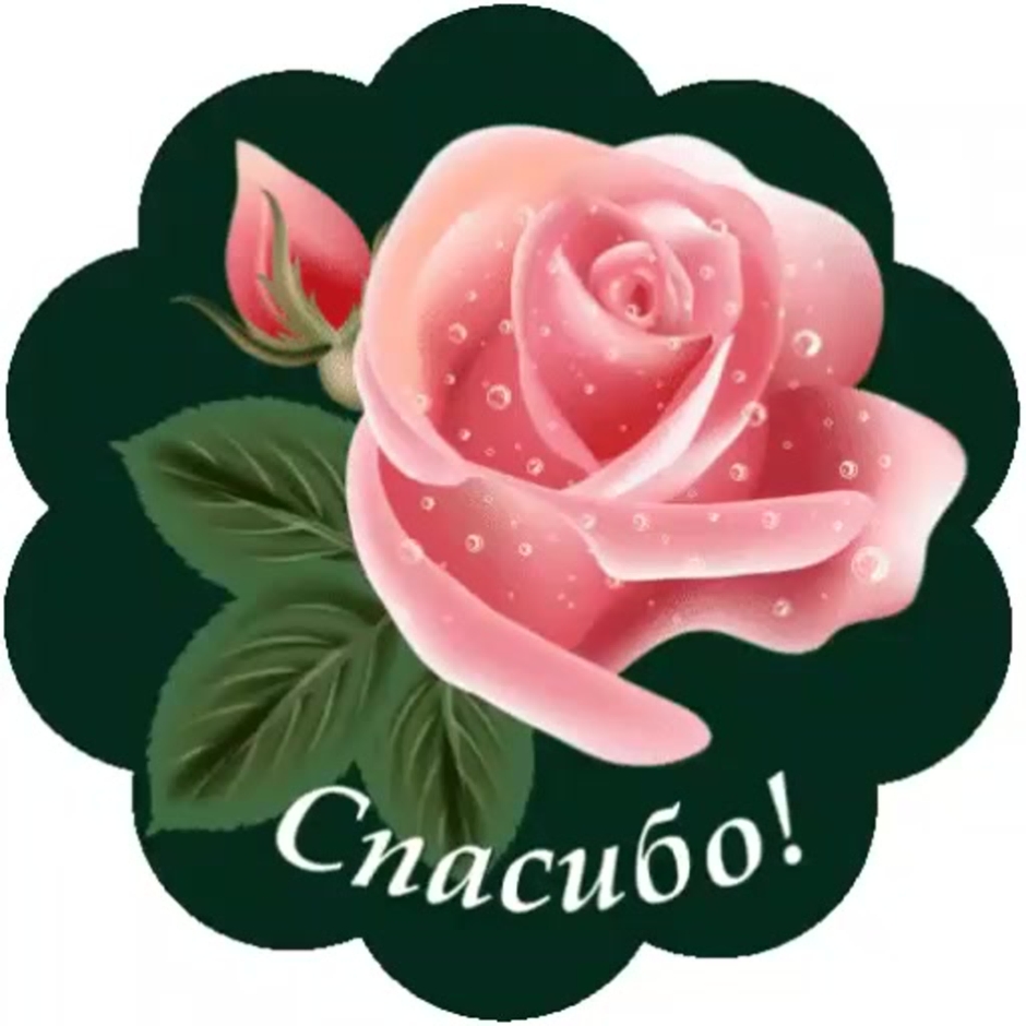 Хостинг картинок yapx.ru