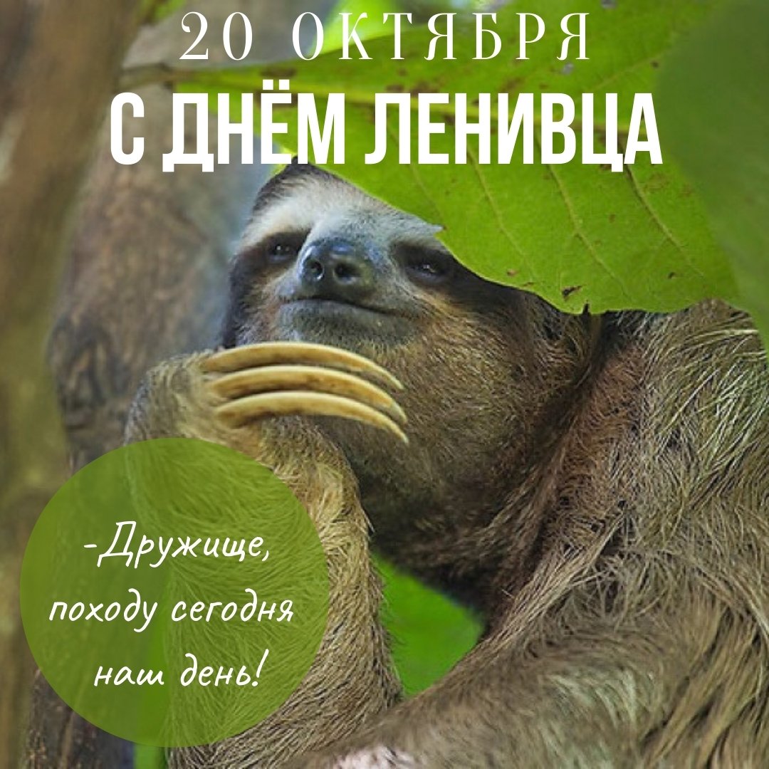 Хостинг картинок yapx.ru