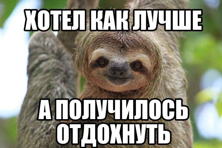 Хостинг картинок yapx.ru