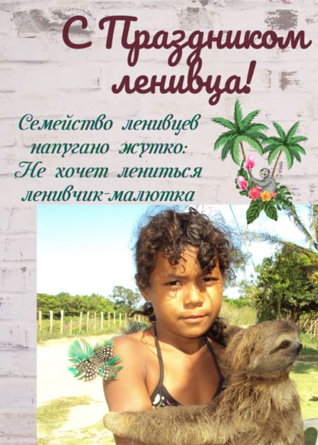 Хостинг картинок yapx.ru