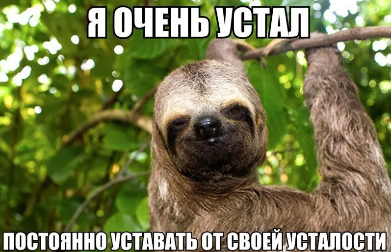 Хостинг картинок yapx.ru