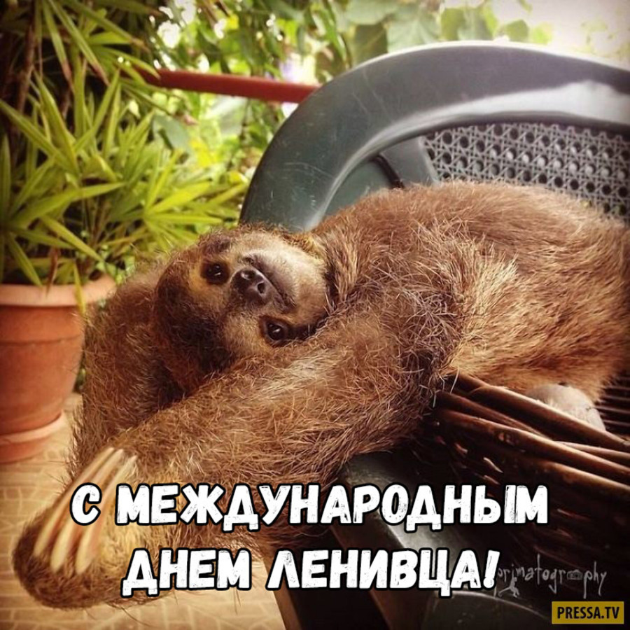 Хостинг картинок yapx.ru