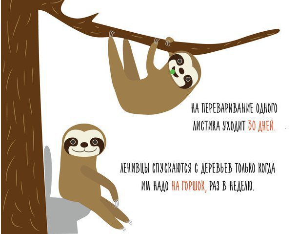 Хостинг картинок yapx.ru