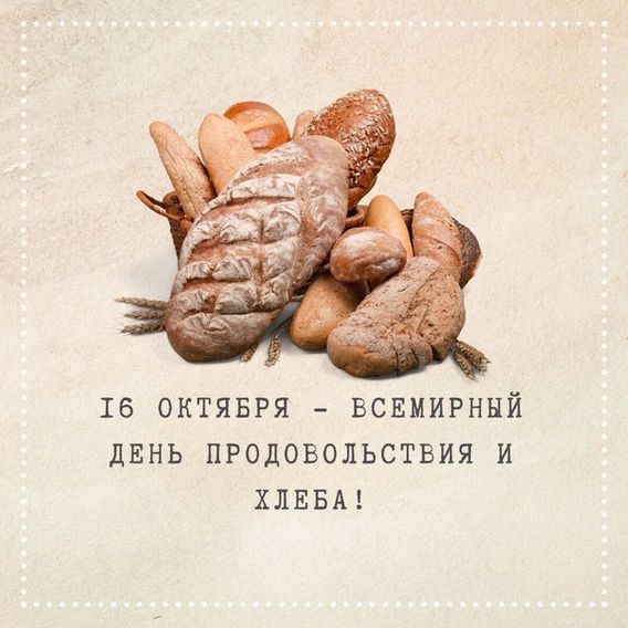 Фрукты и овощи на деревянном фоне