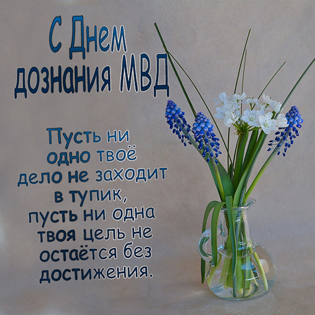 Хостинг картинок yapx.ru