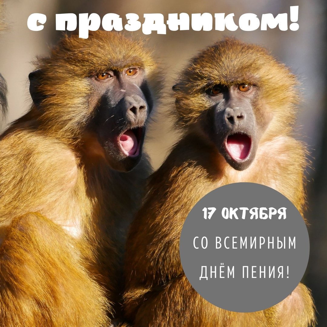 Хостинг картинок yapx.ru