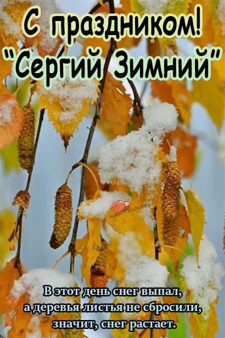 Хостинг картинок yapx.ru