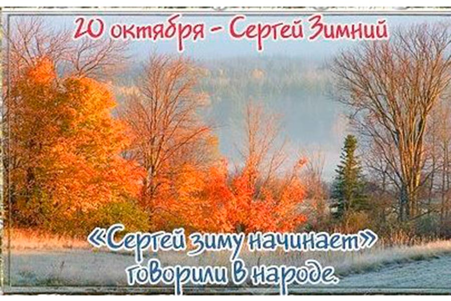 Хостинг картинок yapx.ru