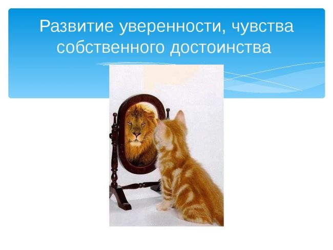 Хостинг картинок yapx.ru