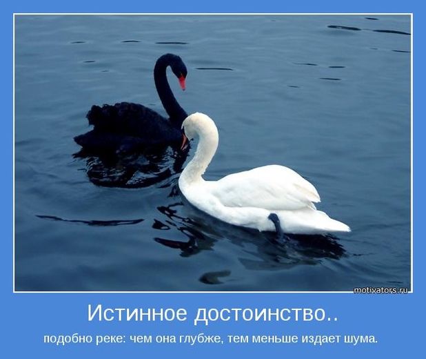 Хостинг картинок yapx.ru