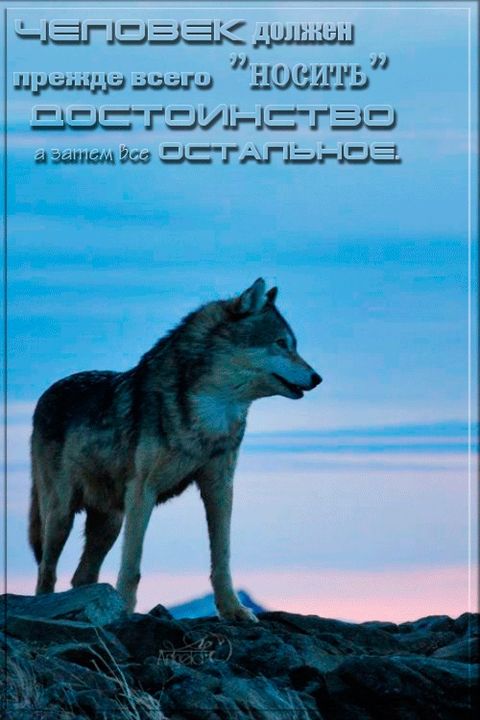 Хостинг картинок yapx.ru