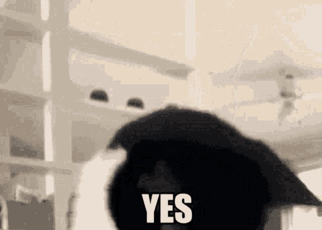 Милая анимация с кивающей кошкой, да согласна.