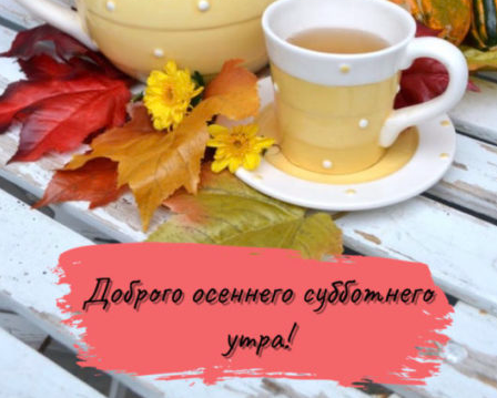 Хостинг картинок yapx.ru