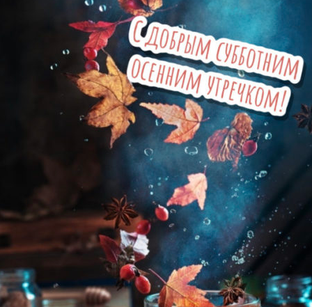 Хостинг картинок yapx.ru