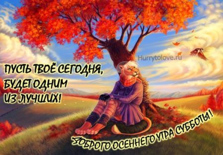 Хостинг картинок yapx.ru