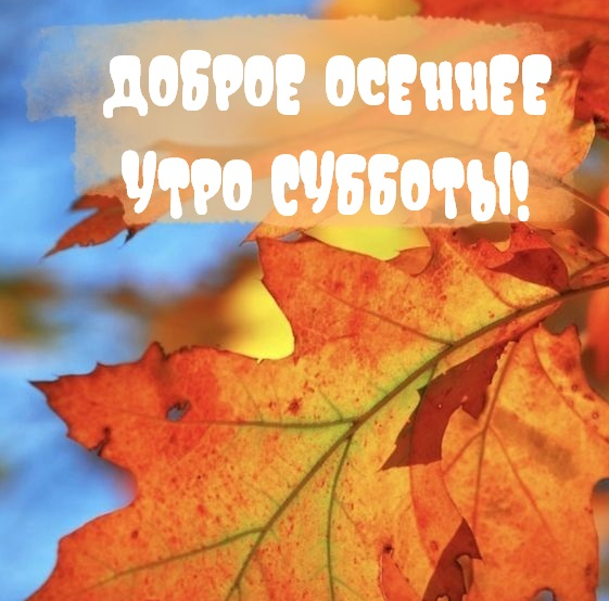 Хостинг картинок yapx.ru