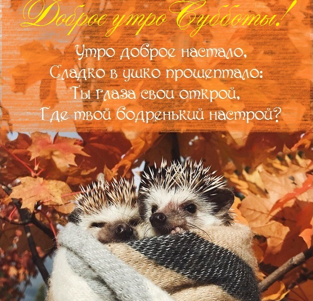 Хостинг картинок yapx.ru