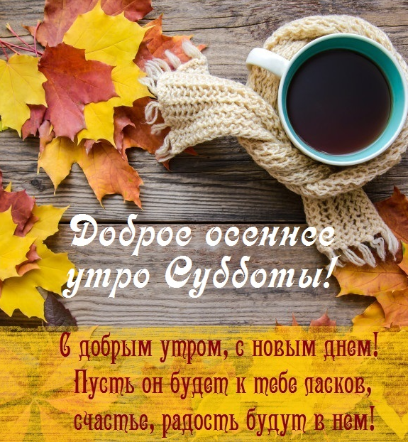 Хостинг картинок yapx.ru