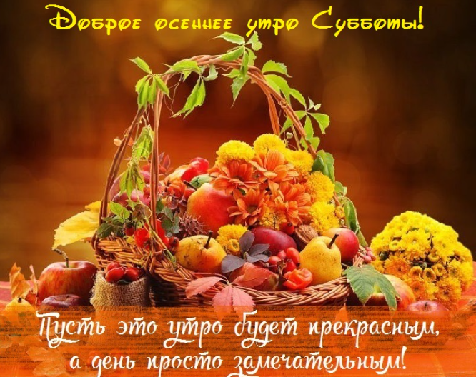 Хостинг картинок yapx.ru