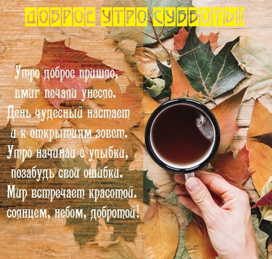 Хостинг картинок yapx.ru