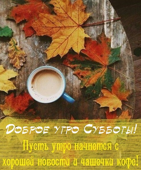 Хостинг картинок yapx.ru