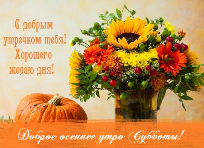 Хостинг картинок yapx.ru