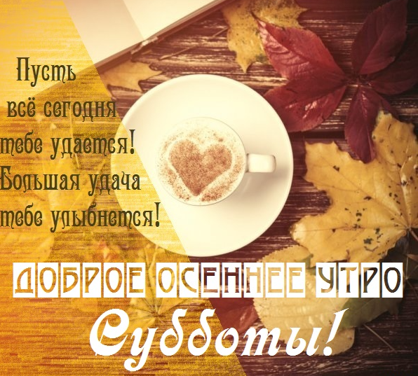 Хостинг картинок yapx.ru