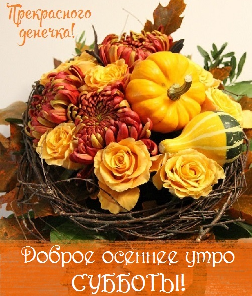 Хостинг картинок yapx.ru