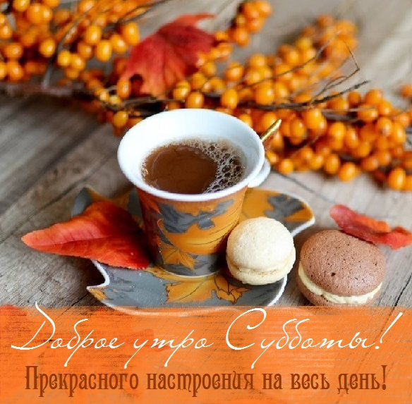 Хостинг картинок yapx.ru